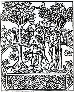 Soins des vignes de 